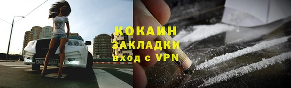 дживик Верея