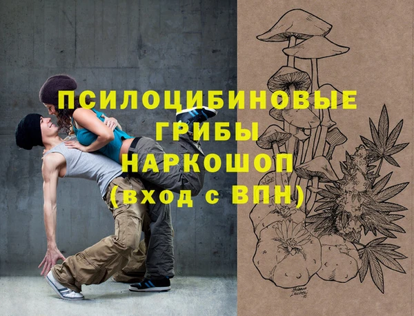 дживик Верея