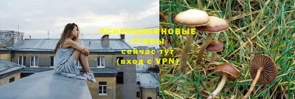 дживик Верея