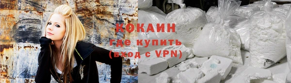 дживик Верея