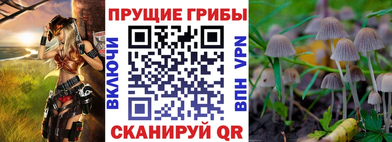 Галлюциногенные грибы мицелий  Воркута 
