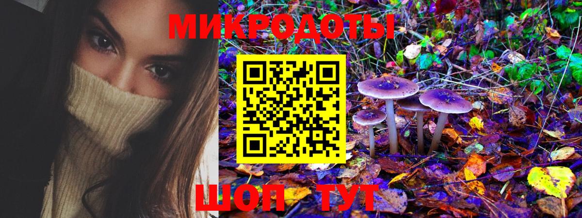 Воркута  Псилоцибиновые грибы Psilocybine cubensis  Вход с VPN 