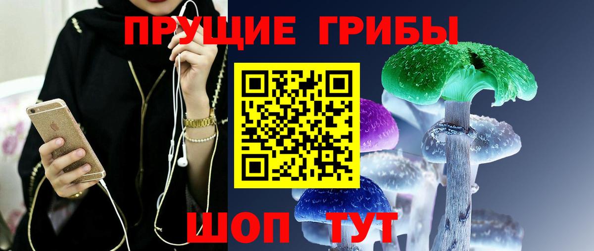 Галлюциногенные грибы Psilocybine cubensis  где продают   Воркута 